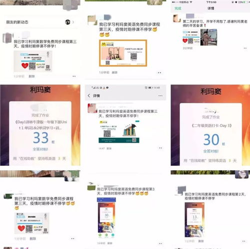 好評刷屏的背后 利瑪竇語數外同步課堂，用愛澆灌，用服務說話